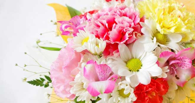 母の日にカーネーション花束の本数や色の花言葉の意味を知って贈る！