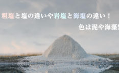 粗塩と塩の違いや岩塩と海塩の違い！色は泥や海藻類_化学