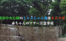 新宿中央公園のじゃぶじゃぶ池はオムツ可！赤ちゃんのマナー注意事項